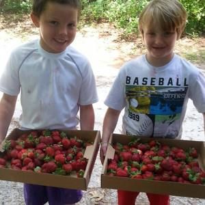 Meet your Posher, Nicholas